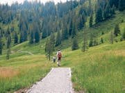 Vor kurzem ausgebaut: der Wanderweg im Gebiet Ror zwischen Langis und Glaubenbielen. (Bild: Markus von Rotz (Giswil, 23. Juli 2017))