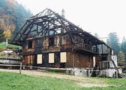 Der Besitzer zündete das Haus am 8. Oktober 2015 in einer Kurzschlussreaktion an. (Bild: PD)