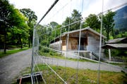 Ein Zaun trübt die ländliche Idylle: die Asylunterkunft in Alpnach, in der kommende Woche die ersten Asylsuchenden ein Zuhause auf Zeit bekommen werden. (Bild: Corinne Glanzmann / Neue LZ)