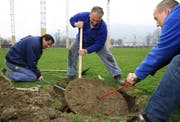 Die Arbeiter Miroslav Bekic, Ueli Frei und Gregor Jurt (von links) versuchen mit aller Kraft, den Zisternendeckel zu entfernen. (Bild Chris Iseli/Neue LZ)