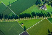 Zur Pflege der Landschaft gehört auch das Anlegen unterschiedlicher Ackerkulturen. (Bild: Keystone/Martin Rütschi)