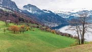 Umstritten: Das Gebiet Teufibalm oberhalb von Vitznau soll umgezont werden. (Bild: Roger Grütter (Vitznau, 20. November 2017))