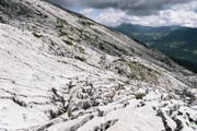 Die Karstlandschaft der Schrattenfluh gilt als die schönste der Schweiz.Bild: Christian Beutler/Keystone (Entlebuch, 18. August 2016)