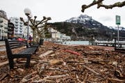 Der Föhnsturm schwemmt Laub und Äste ans Ufer in Brunnen. (Bild: Keystone / Alexandra Wey)