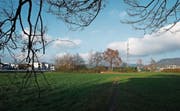 Geht es nach zwei Gemeinderäten, kommt im Göbli nicht nur der Ökihof zu stehen. (Bild: Stefan Kaiser (Zug, 5. Dezember 2017))