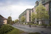 Einfahrt in die Libellenstrasse von der Friedentalstrasse her. (Bild: Visualisierung: PD)