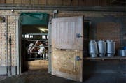 Beim Milchverarbeiter Hochdorf ging deutlich weniger Milch ein. (Bild: Keystone)