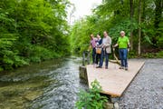 Der Lorzenweg bietet auch Zugang zum Wasser. (Bild: Andreas Busslinger / PD)