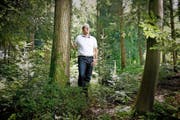 Marcel Stirnimann im Riedholz in Ebikon. Er stellt sein Waldstück für einen Waldfriedhof zur Verfügung. (Bild Corinne Glanzmann)