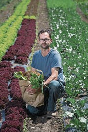 Biobauer Sebastian Ineichen in einem seiner Gemüsebeete. (Bild: Pius Amrein (Kastanienbaum, 16. Mai 2017))
