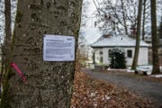 Reizthema Baumfällungen: Das Stadtforstamt Luzern informiert über die Aktion mit Anschlägen. (Bild: Boris Bürgisser (Luzern, 20. März 2018))