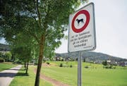 Diese Verbotstafel beim Sportplatz Risch sorgt für Ärger bei Hundehaltern. (Bild: Corinne Glanzmann (Ebikon 4.Juli 2016))