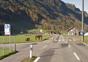 Beispiel eines aufzuhebenden Fussgängerstreifens in der Tempo-80-Zone beim Militärspital in Muotathal. (Bild: Google Maps/Screenshot)