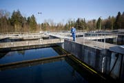 Die Kläranlage Buholz in Emmen reinigt das Abwasser von 180 000 Einwohnern. Klärwerkfachmann Theo Stadelmann steht vor einem Nachklärbecken. Hinten, Richtung Wald, ist eine Erweiterung geplant. (Bild: Manuela Jans / Neue LZ)