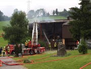 Die Einsatzkräfte der Feuerwehr konnten den Brand rasch löschen. (Bild: Leserbild)