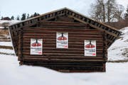 An einer Stallwand im bündnerischen Schanfigg hängen Plakate der Befürworter der SVP-Initiative. (Bild: Keystone/Arno Balzarini)