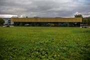 Der Schulhaus-Neubau in Reiden verzögert sich. Auf dieser Wiese soll der Bau zu stehen kommen. (Bild: Nadia Schärli)