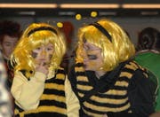 Ein kurzes Beratungs-Gespräch unter Bienen... (Bild Richard Greuter/Neue NZ)