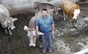 Alois Hess, der auf dem Riedhof in Risch bauert, hat mit der Milchproduktion aufgehört. (Bild: Werner Schelbert (Risch, 28. Juli 2017))