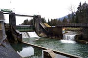 Das Stauwehr des Kraftwerks Sarneraa in Kägiswil: In der Mitte der Schütz, der Restwasser durchlässt, und rechts die erstellte Fischtreppe. (Symbolbild Romano Cuonz / Neue OZ)