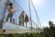 Sattel soll für Familien mit Kindern noch attraktiver werden. Auf dem Bild: die Hängebrücke. (Bild: Archiv)