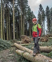 Betriebsförster Hans-Rudolf Hochuli hat mit diesem Holz viel vor. (Bild: Nadia Schärli (Geiss, 3. Februar 2018))