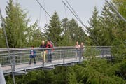 Luitgardis Sonderegger (gelbe Hose) inspiziert mit ihrem Team einen Baumwipfelpfad im Allgäu. Dieser ist mehrfach grösser als jener, der in der Rodtegg geplant ist. (Bild: PD)