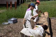 Annaluisa Hauser, Anna Brenner und Eddie Hüsler beim Erstellen des Einbaum. (Bild: zvg/Albert Koechlin Stiftung)