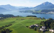Auf diesem gelände in Vordermeggen ist eine öffentliche 9-Loch-Golfanlage mit Driving Range, Golfhaus und einem neuen Fuss- und Wanderwegnetz geplant. (Bild: PD)
