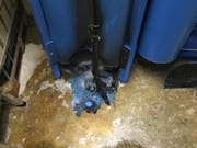 Die Brandstelle im Technikraum. (Bild: PD/Feuerwehr Cham)