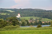 Der Baldeggersee mit Blick auf Gelfingen und das Schloss Heidegg (Symbolbild). (Bild: Manuela Jans / Neue LZ)