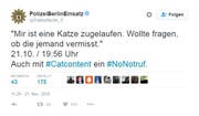 So fragt man, wenn man die Katze eigentlich behalten will. (Bild: Screenshot / Twitter)