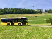 Ab dem 1. Juli fährt das Postauto 20 Mal täglich auf den Bürgenstock. (Bild: pd)