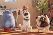Der treuherzig dreinblickende Terrier Max (Bild Mitte) ist der Star des Zeichentrickfilms «Pets», welcher derzeit die Schweizer Kinocharts anführt. (Bild: Keystone)