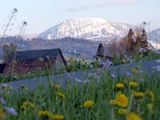 Frühling vorne, Winter hinten auf dem Schimbrig! (Bild: Leserbild: Josef Lustenberger)