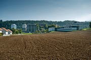 Auf dieser heute landwirtschaftlich genutzten Wiese neben der Kantonsschule Reussbühl würde das neue Kurzzeitgymnasium gebaut. (Bild: Pius Amrein)