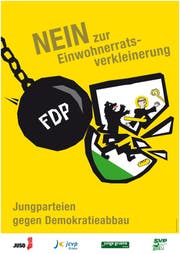 Das Plakat der Jungparteien. (Bild: PD)