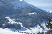 Der Skilift war 1945 der erste Bügellift des Kantons Luzern. (Bild zvg)