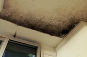 Ganz so schlimm wie auf diesem Bld ist der Schimmelbefall der Wohnung im vorliegenden Fall nicht. Dennoch ist mit Sanierungskosten von mehreren tausend Franken zu rechnen. (Archivbild Neue LZ)