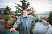 Er verkauft Christbäume und feiert am «Christkindlitag» Geburtstag: Franz Zemp (80) in seiner Baumkultur in Eschenbach. (Bild Roger Grütter)