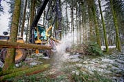Ein Forstunternehmer entastet und zersägt mit dem Holzvollernter einen Baum. Bild: Manuela Jans-Koch (Neudorf, 14. Januar 2016)