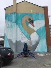 Mittlerweile ist auf der meterhohen Hauswand in Sursee ein Schwan erkennbar. Realisert wird er vom Künstlerpaar «Queenkong». (Bild: PD/Kreativfabrik62)