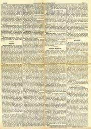 Bild: Luzerner Tages-Anzeiger, 24. Oktober 1897