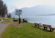 Bei der Badewiese Rüteli werden am Donnerstag Bäume gefällt. Darum muss die Seestrasse (links) in diesem Bereich gesperrt werden. (Bild: Corinne Glanzmann (Archiv))