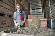 Markus Schmid, Bauer aus Kottwil, ist stolz auf seine Ernte. (Bild: Eveline Beerkircher (26. Oktober 2017))