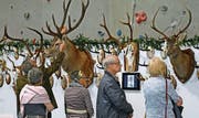 Die Besucher inspizieren die ausgestellten Trophäen. (Bild: Beat Christen (Engelberg, 8. April 2017))