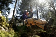 Aaron Britschgi will auf der Stöckalp einen Seilpark errichten. (Bild: Nadia Schärli / Neue LZ)