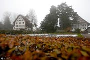 Ein grosszügiger Grüngürtel soll rund um den Zurlaubenhof erhalten bleiben. (Bild Stefan Kaiser)