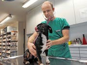 Tierarzt Thomas Stadler (Bild) plant zusammen mit Hans Hofstetter eine Praxis für Nutztiere. (Bild Urs Hanhart)