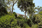 Reiheneinfamilienhäuser an der Aberenterrasse in Baar. (Bild: Neue ZZ)
